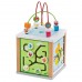 Cub cu 5 activitati New Classic Toys